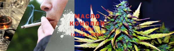 гидра Абаза