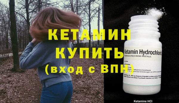 гидра Новозыбков