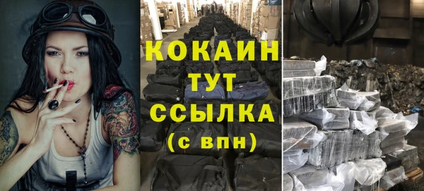 гидра Абаза