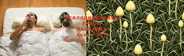 мет Абинск
