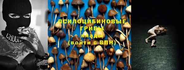 гидра Абаза