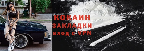 гидра Новозыбков